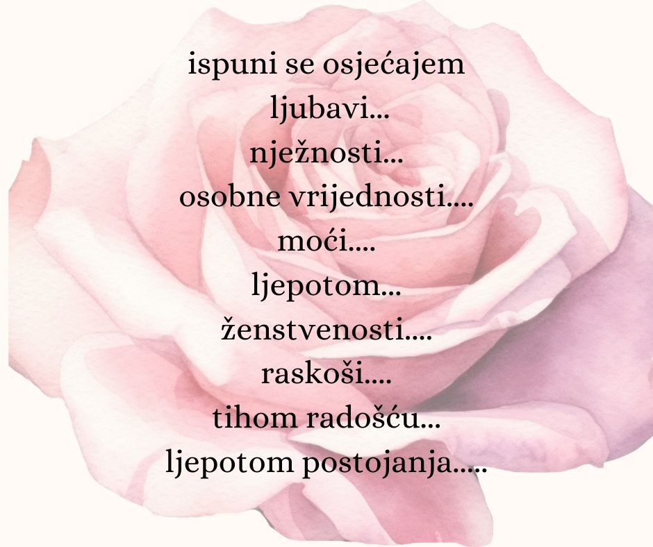 JASENKAZUBC29